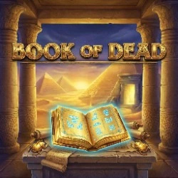 Book of Dead slot at Mystake Casino